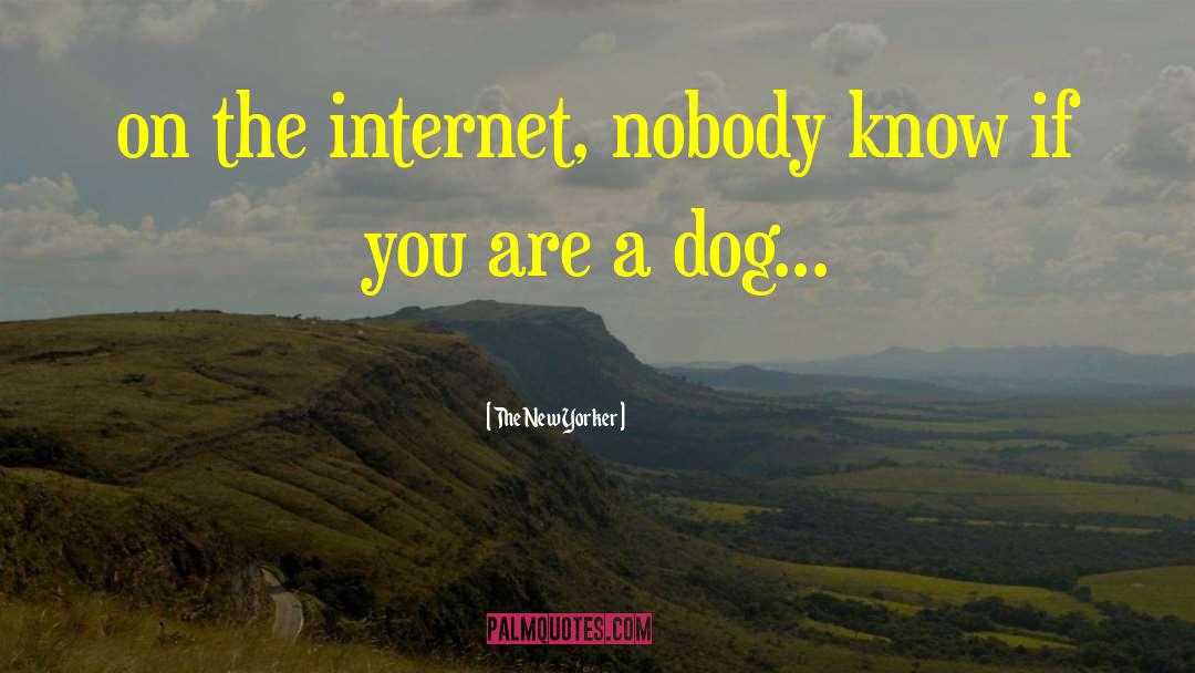 The New Yorker Quotes: on the internet, nobody know
