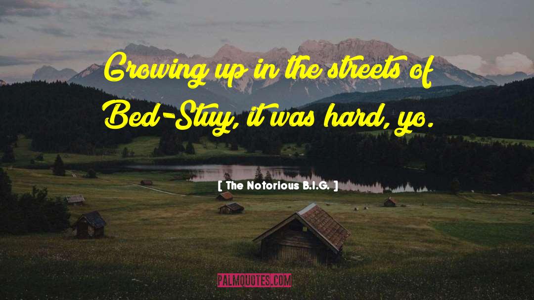 The Notorious B.I.G. Quotes: Growing up in the streets