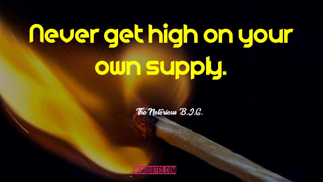 The Notorious B.I.G. Quotes: Never get high on your