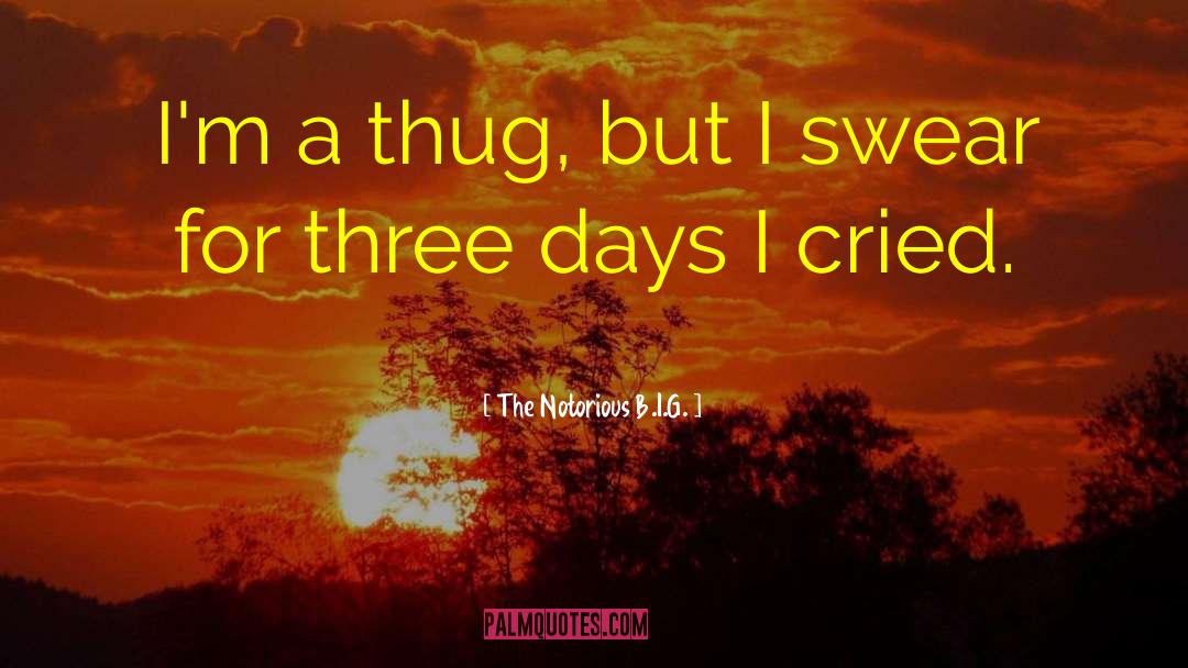 The Notorious B.I.G. Quotes: I'm a thug, but I