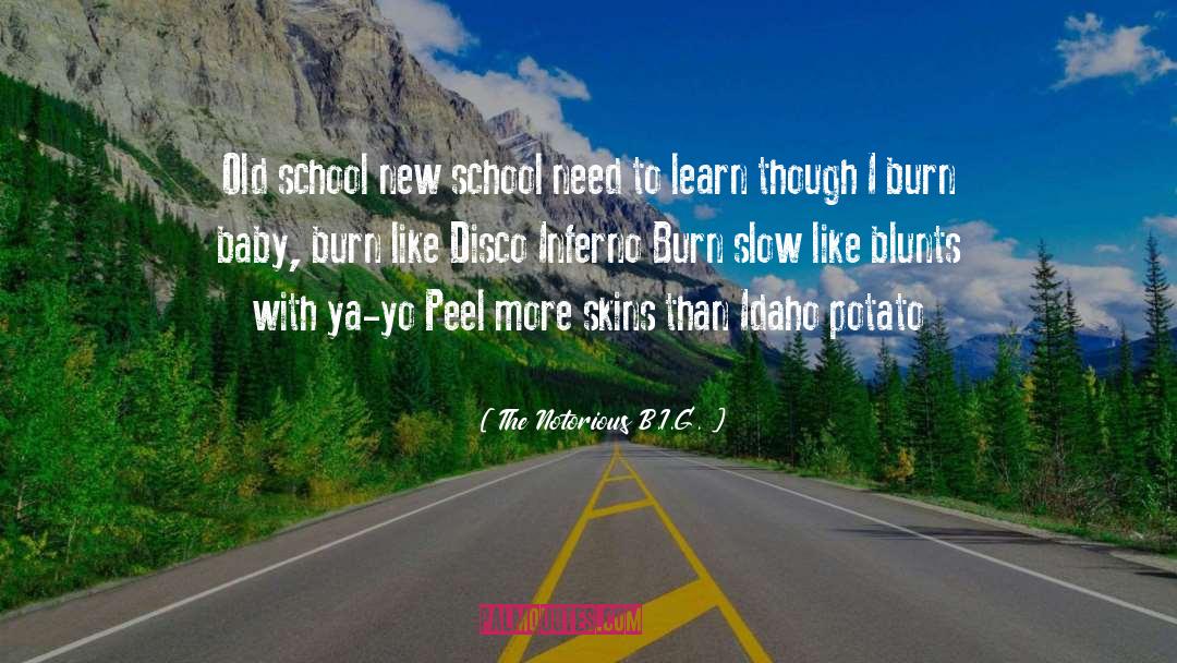 The Notorious B.I.G. Quotes: Old school new school need