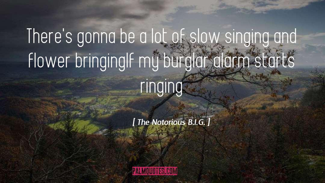 The Notorious B.I.G. Quotes: There's gonna be a lot