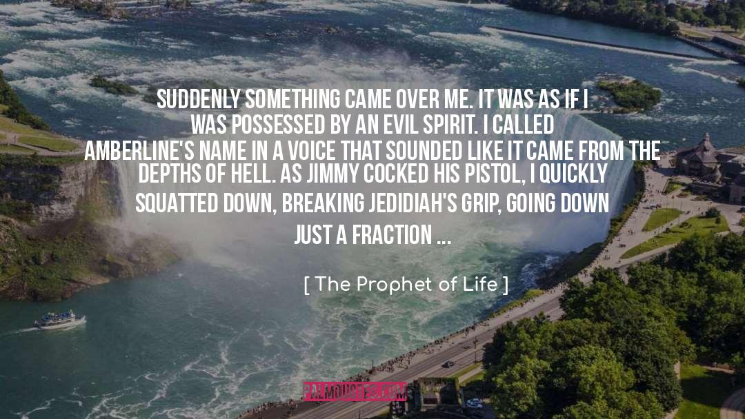 The Prophet Of Life Quotes: Suddenly something came over me.