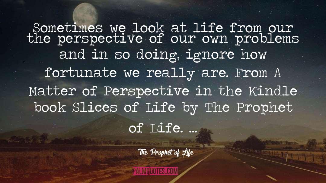 The Prophet Of Life Quotes: Sometimes we look at life