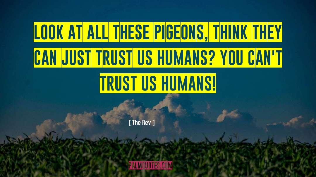 The Rev Quotes: Look at all these pigeons,