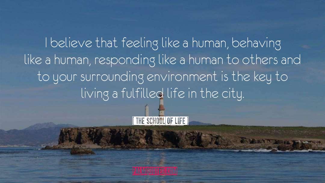 The School Of Life Quotes: I believe that feeling like