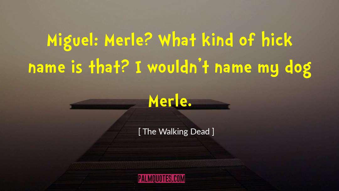 The Walking Dead Quotes: Miguel: Merle? What kind of