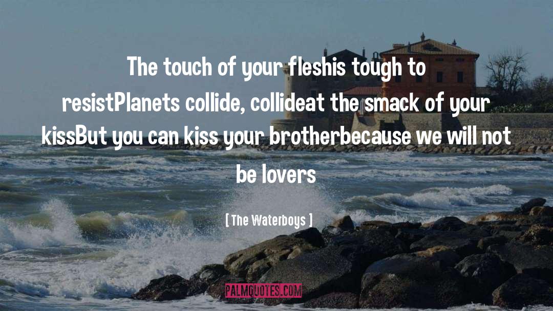 The Waterboys Quotes: The touch of your flesh<br