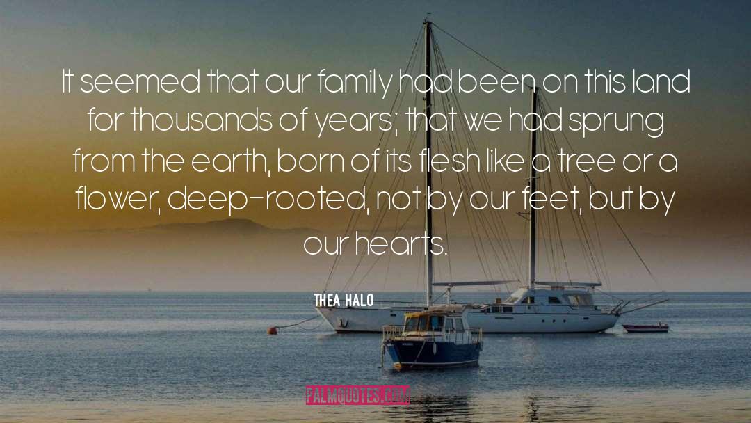 Thea Halo Quotes: It seemed that our family