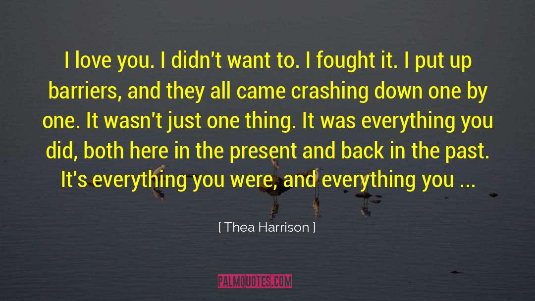 Thea Harrison Quotes: I love you. I didn't