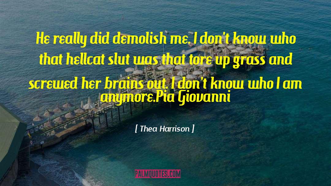 Thea Harrison Quotes: He really did demolish me.
