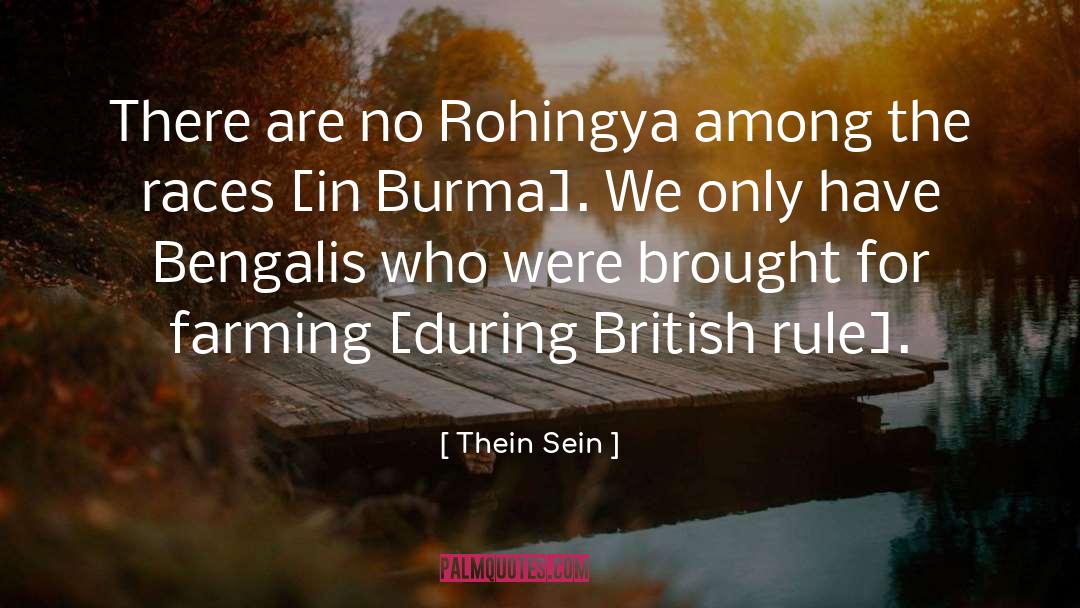 Thein Sein Quotes: There are no Rohingya among