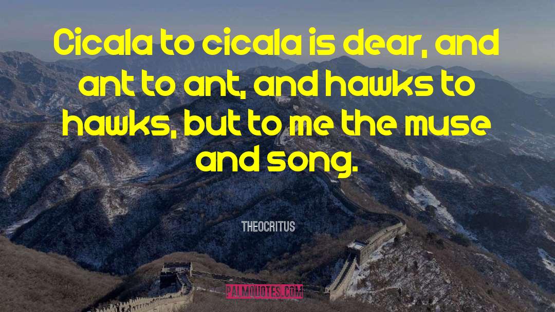 Theocritus Quotes: Cicala to cicala is dear,
