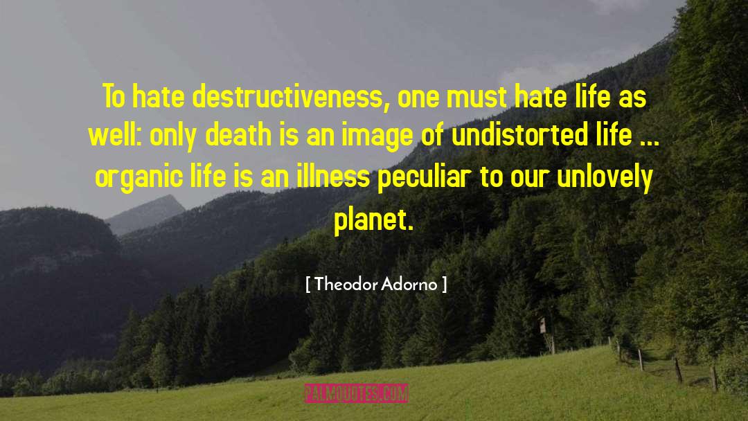 Theodor Adorno Quotes: To hate destructiveness, one must