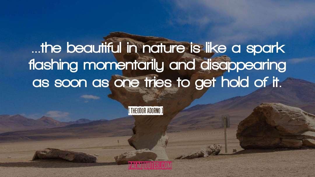 Theodor Adorno Quotes: ...the beautiful in nature is