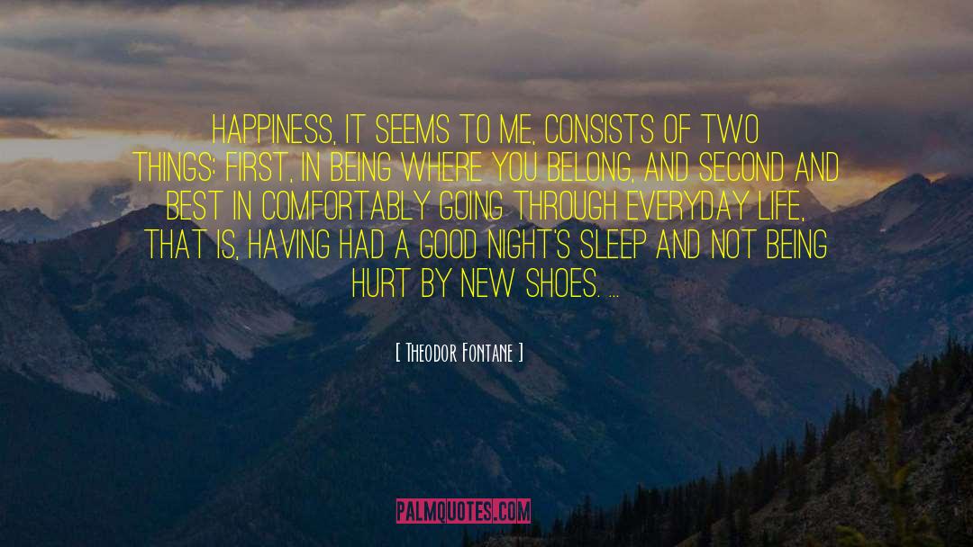 Theodor Fontane Quotes: Happiness, it seems to me,