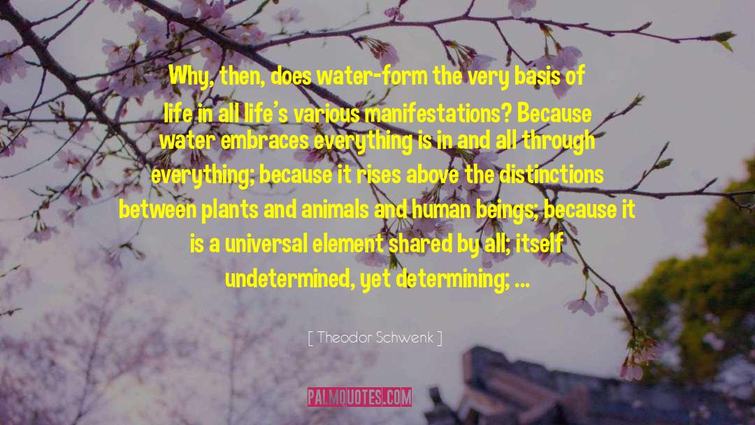 Theodor Schwenk Quotes: Why, then, does water-form the