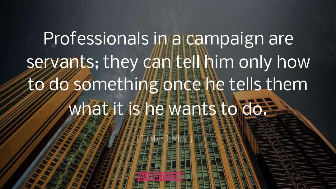 Theodore H. White Quotes: Professionals in a campaign are