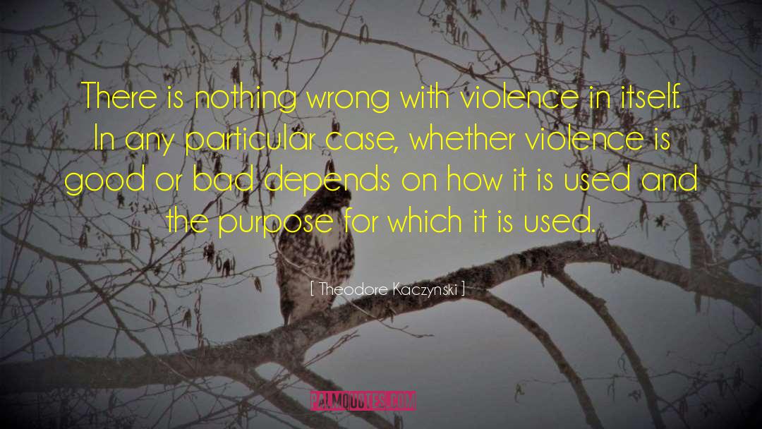 Theodore Kaczynski Quotes: There is nothing wrong with