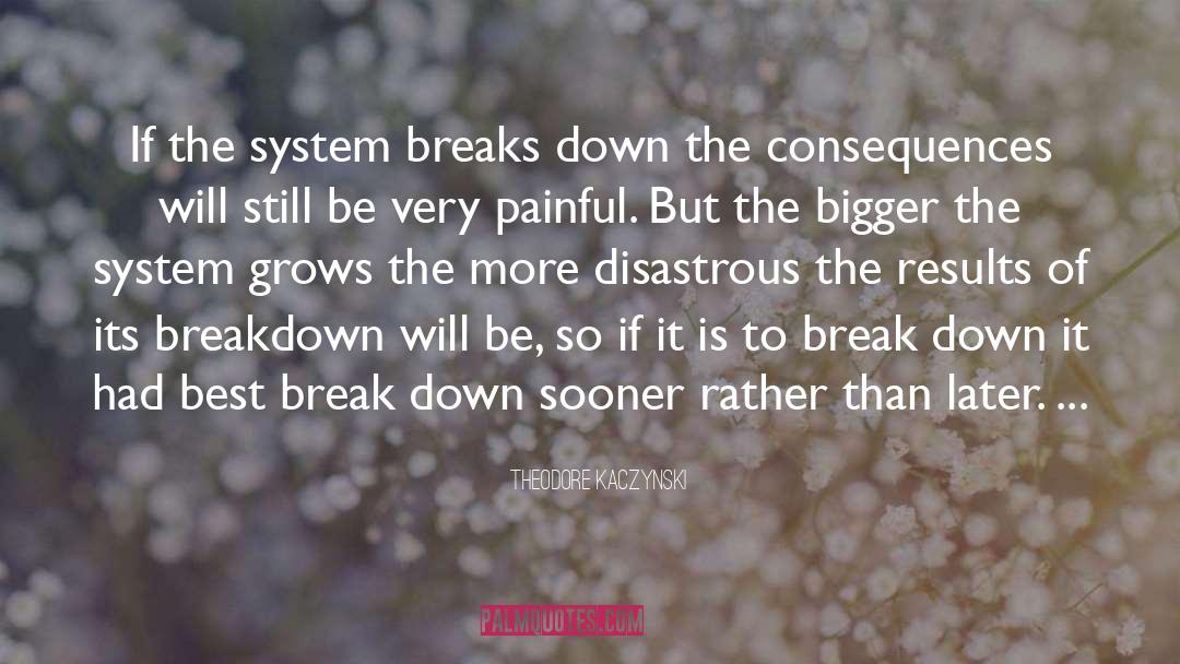 Theodore Kaczynski Quotes: If the system breaks down