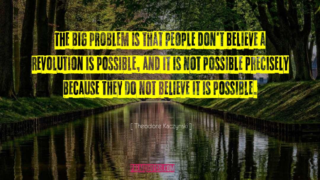 Theodore Kaczynski Quotes: The big problem is that