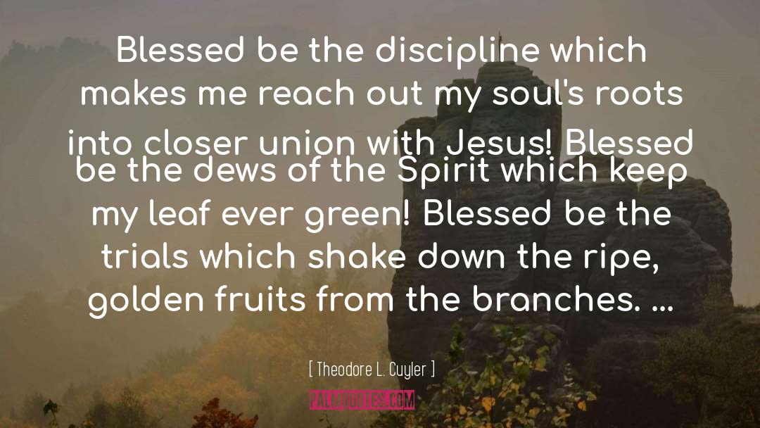 Theodore L. Cuyler Quotes: Blessed be the discipline which