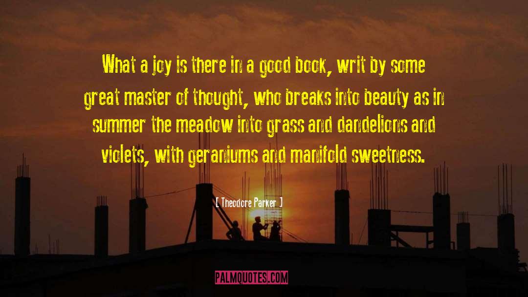 Theodore Parker Quotes: What a joy is there