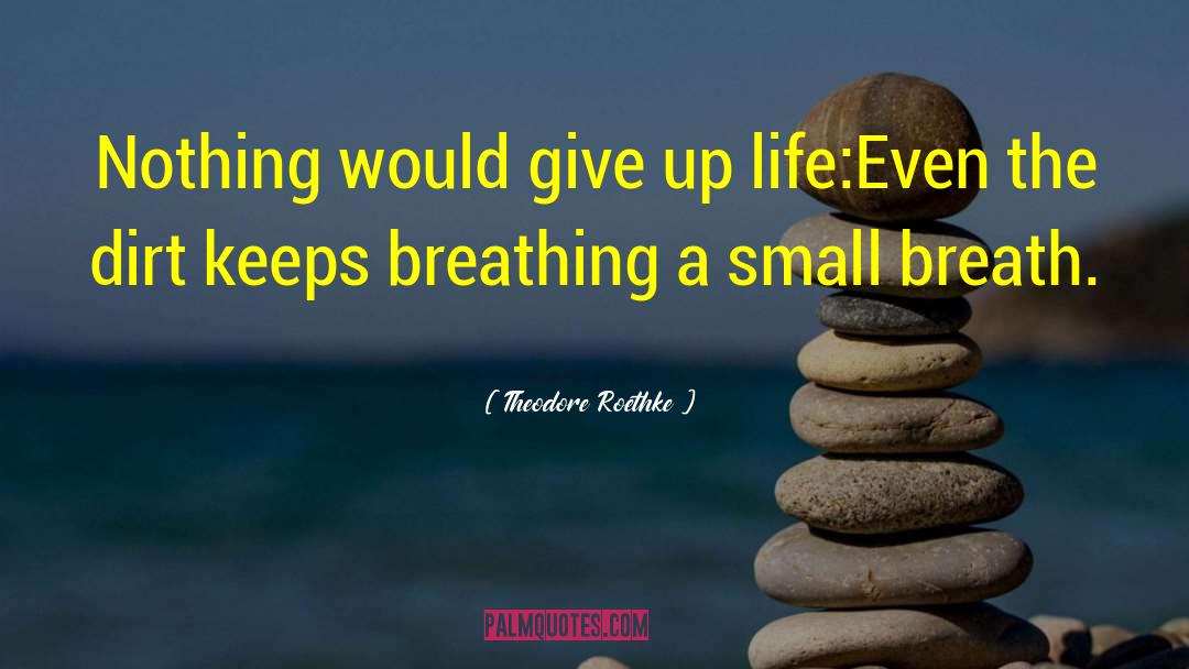 Theodore Roethke Quotes: Nothing would give up life:<br>Even