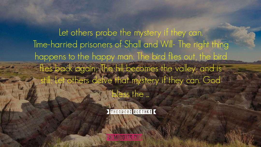 Theodore Roethke Quotes: Let others probe the mystery