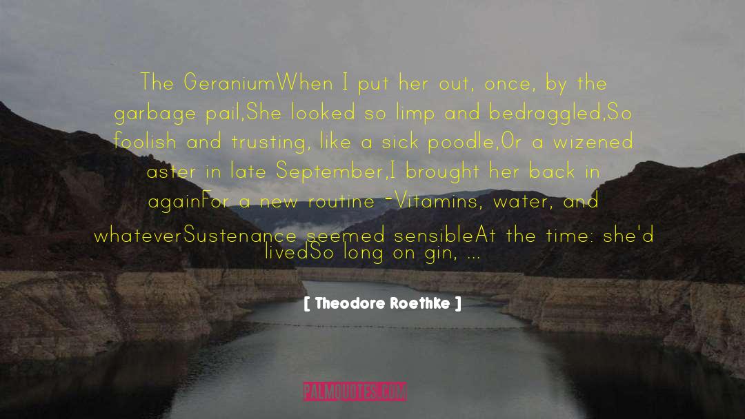 Theodore Roethke Quotes: The Geranium<br /><br />When I