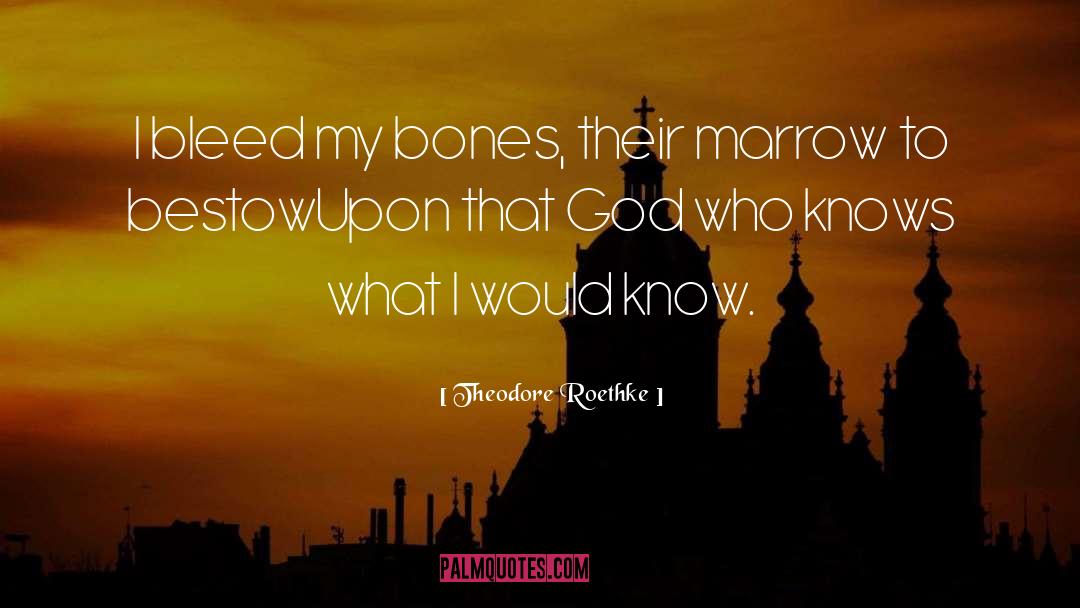 Theodore Roethke Quotes: I bleed my bones, their