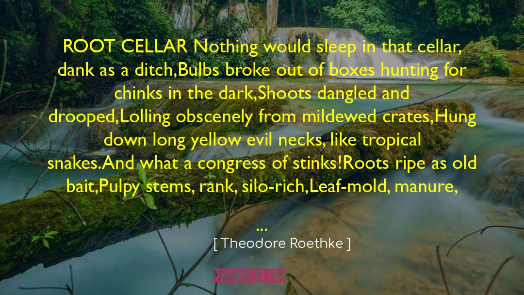 Theodore Roethke Quotes: ROOT CELLAR<br> Nothing would sleep