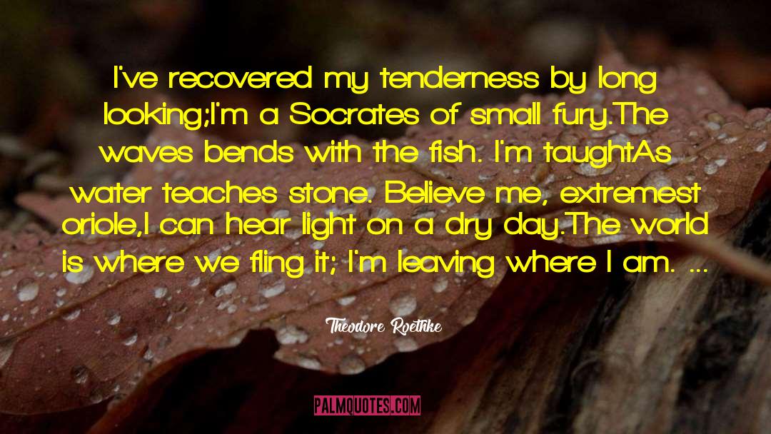 Theodore Roethke Quotes: I've recovered my tenderness by