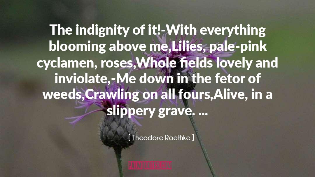 Theodore Roethke Quotes: The indignity of it!-<br>With everything