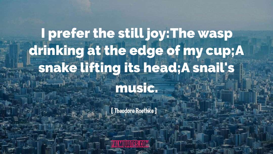 Theodore Roethke Quotes: I prefer the still joy:<br