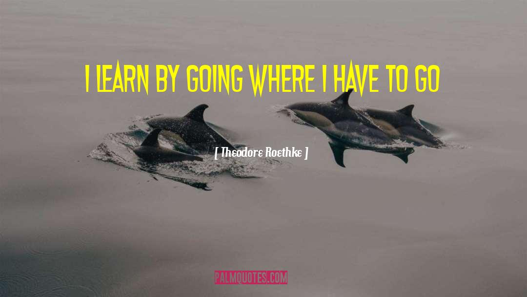 Theodore Roethke Quotes: I learn by going where