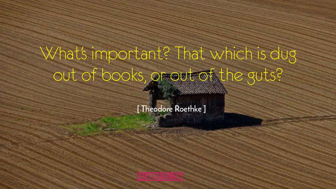 Theodore Roethke Quotes: What's important? That which is