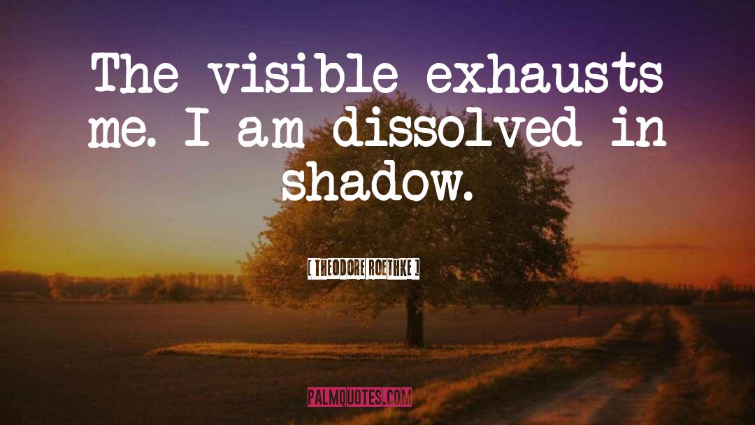 Theodore Roethke Quotes: The visible exhausts me. I