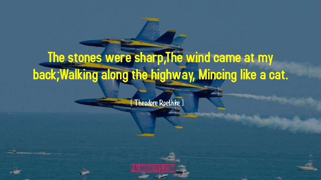 Theodore Roethke Quotes: The stones were sharp,<br>The wind
