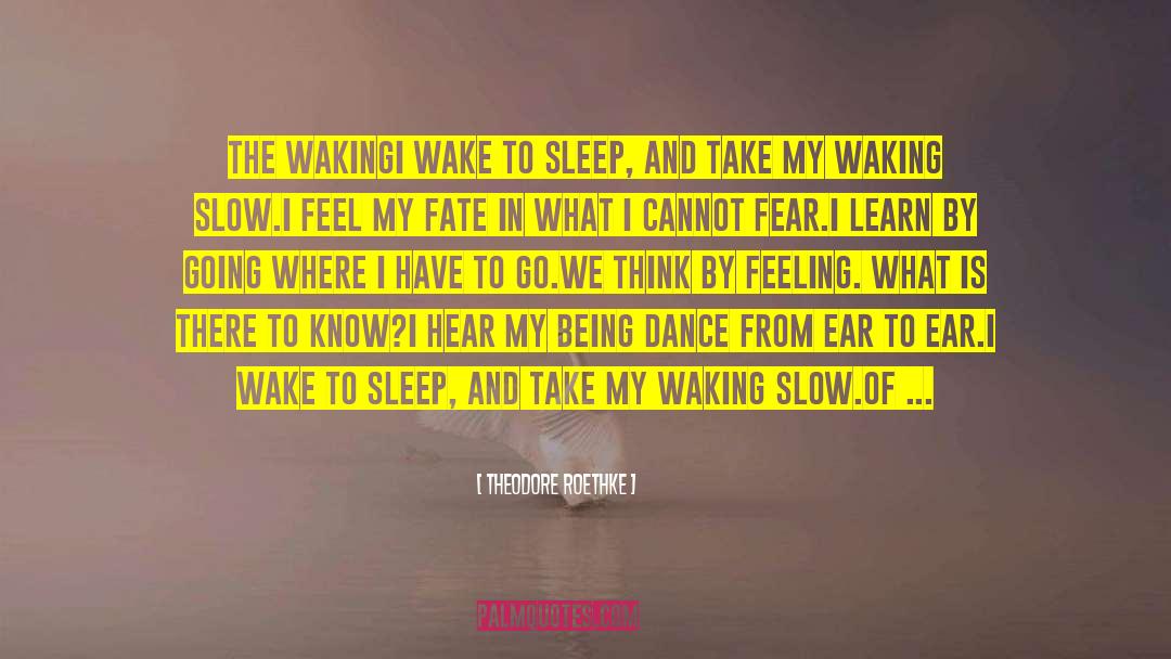 Theodore Roethke Quotes: The Waking<br>I wake to sleep,