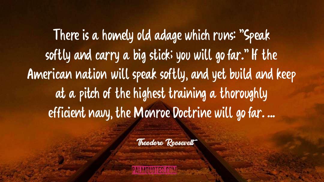 Theodore Roosevelt Quotes: There is a homely old