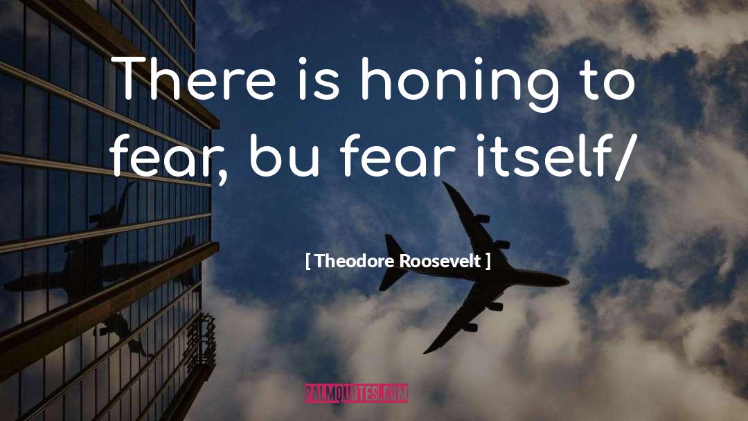 Theodore Roosevelt Quotes: There is honing to fear,