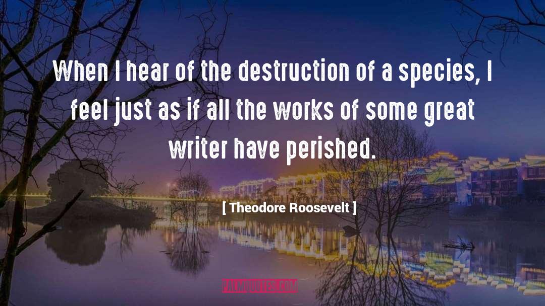 Theodore Roosevelt Quotes: When I hear of the