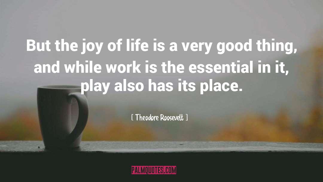 Theodore Roosevelt Quotes: But the joy of life