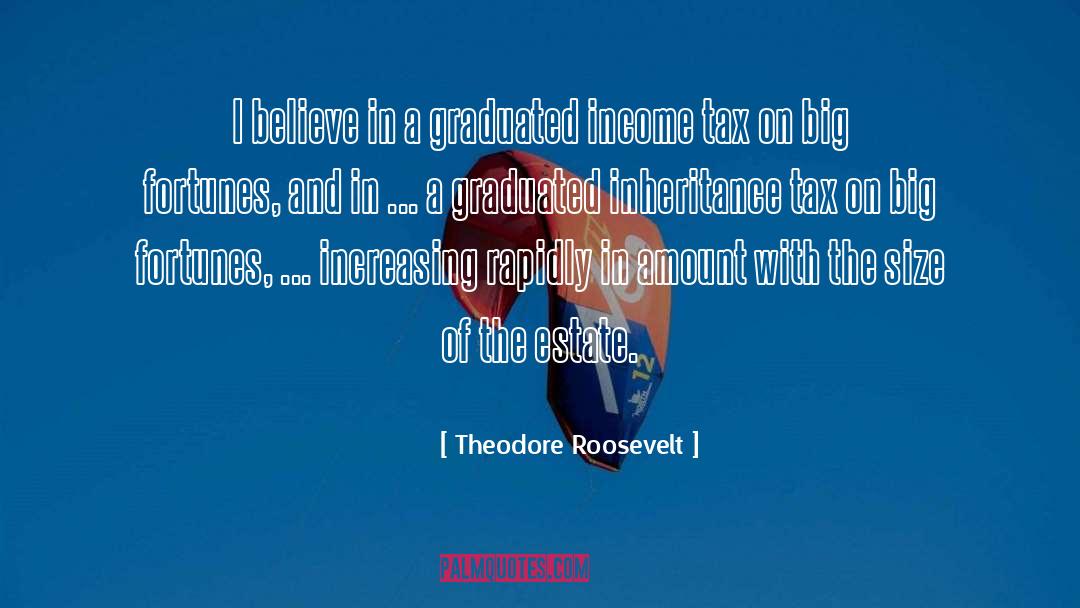 Theodore Roosevelt Quotes: I believe in a graduated
