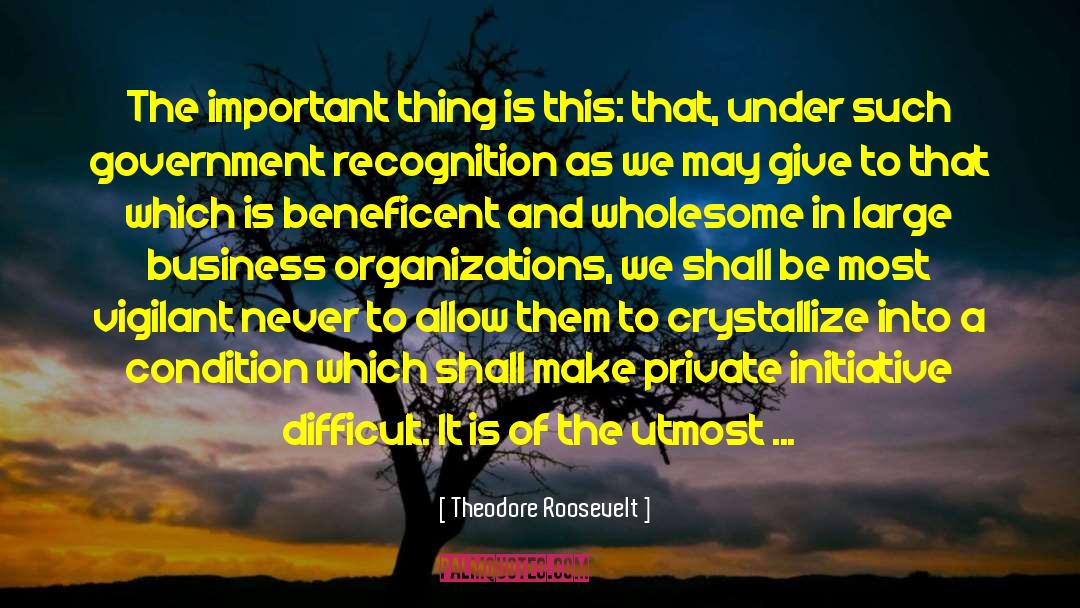 Theodore Roosevelt Quotes: The important thing is this: