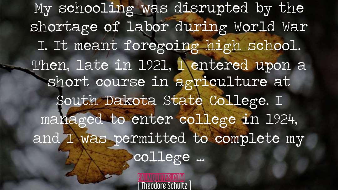 Theodore Schultz Quotes: My schooling was disrupted by