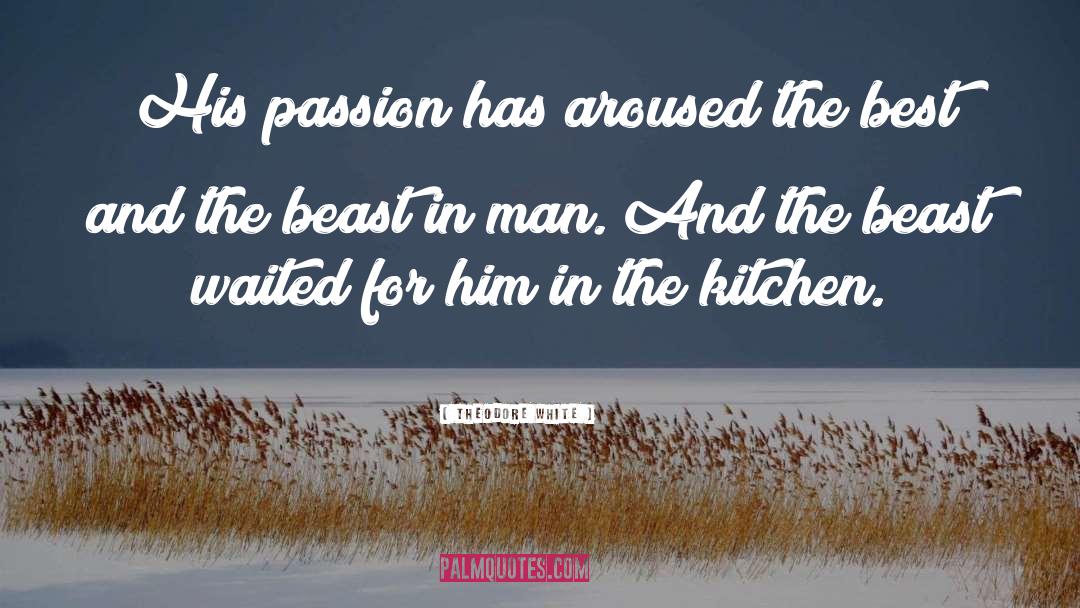 Theodore White Quotes: His passion has aroused the