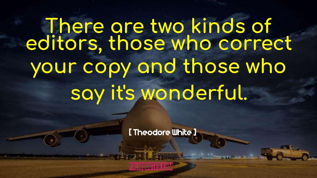 Theodore White Quotes: There are two kinds of