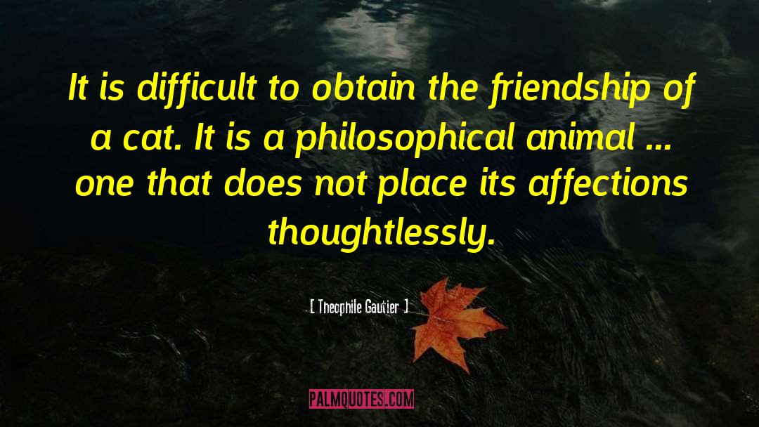 Theophile Gautier Quotes: It is difficult to obtain